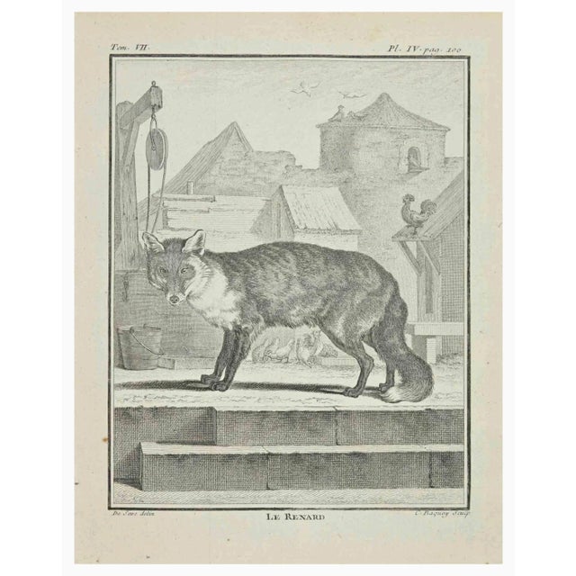 Le Renard is an etching realized by Jean Charles Baquoy in 1771. It belongs to the suite "Histoire Naturelle de Buffon"....