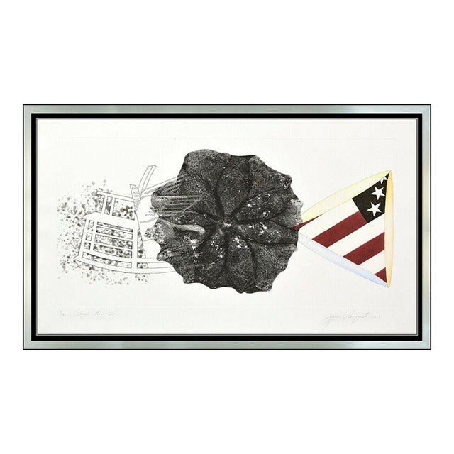 1970s Black Triangle in Color, James Rosenquist For Sale