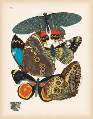 Papillons (Butterflies) Plate 2 Giclee Reproduction Art Print by Emile Allain Séguy