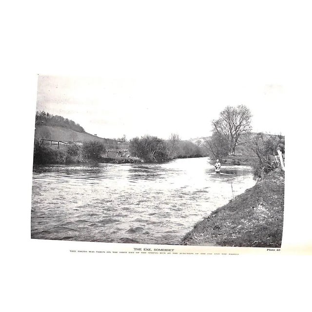 "Salmon Fishing" 1945 Taverner, Eric For Sale - Image 11 of 15