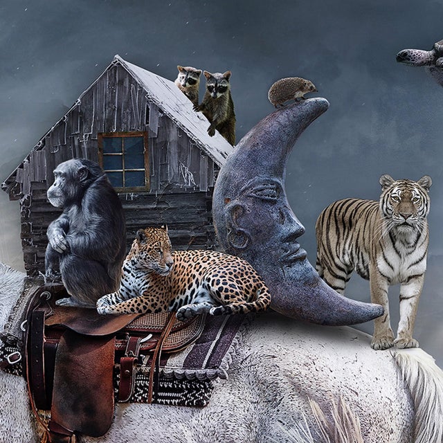 This photographic piece presents a surreal landscape where a majestic white horse carries an eclectic array of animals and...