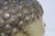 Early 20th Century Attributed Early 20th Century Southeast Asian Hollow Cast Brass Buddha Head Sculpture - Retained Clay Core - 11"h For Sale - Image 5 of 18