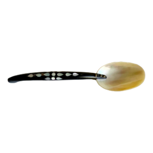 Early 1900s Victorian Shell & Horn Caviar Spoon