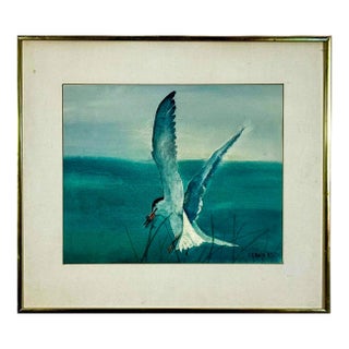 Original 1987 Coastal Watercolor "The Catch" Common Tern Bird Study - Signed C. G. Hurth For Sale