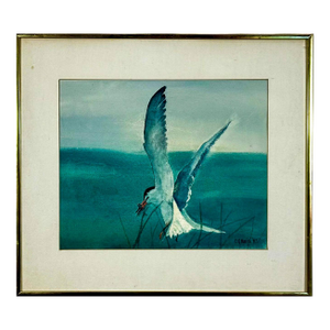 Original 1987 Coastal Watercolor "The Catch" Common Tern Bird Study - Signed C. G. Hurth