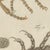 Bertuch, Flea and Louse Under the Microscope, 1805, Print For Sale - Image 9 of 12