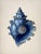 Blue Set of 6 – Blue Conch Shells Collection | Coastal Natural History Fine Art Prints For Sale - Image 8 of 14