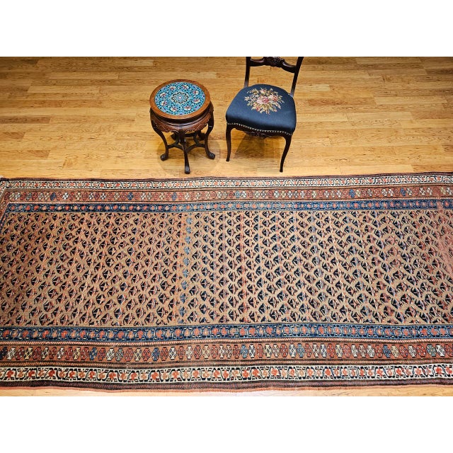 1900 - 1909 Vintage Persian Kurdish Bidjar Gallery Rug, Hand-Knotted Wool, Allover Paisley Design, Camelhair & Blue, 5x12 For Sale - Image 5 of 16