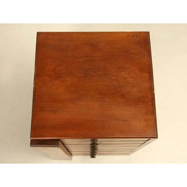 1930s Specimen Cabinet From England For Sale - Image 4 of 10