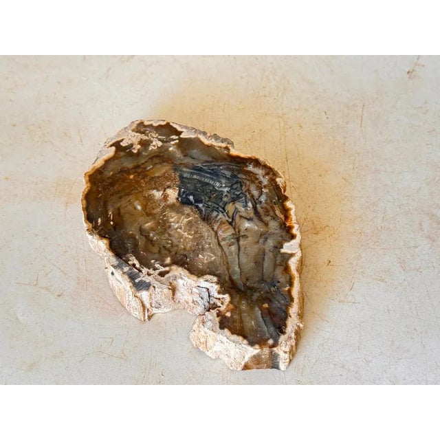 Twisted Agate Ashtray, 1960 For Sale - Image 4 of 8