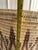 Vintage Lidded Turkana Basket From Kenya - 18" Tall Floor Storage Bin For Sale - Image 10 of 11