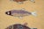 Koi Fish Yellow Hand Knotted Runner Rug 2.6x12Ft. For Sale - Image 6 of 15