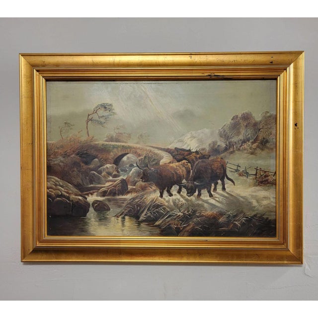Expertly rendered 19th C framed Scottish oil painting on canvas of a herd of highland cattle possibly fleeing a mild...