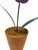 Ceramic French Porcelain Flower in Terracotta Pot For Sale - Image 7 of 11