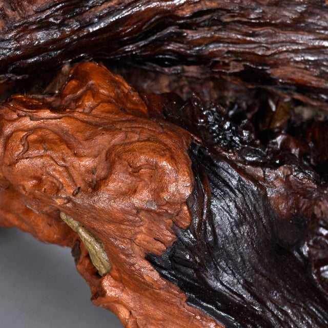 Nakashima Style Live Edge Redwood Burl Root Stump Slab Coffee Table For Sale - Image 13 of 18