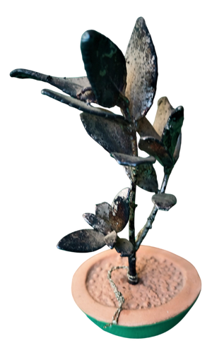 O5 Olive Tree Bonsai in 925 Silver by Scapecchi