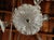 1960s Glass Leafy Murano Fixture For Sale - Image 9 of 10