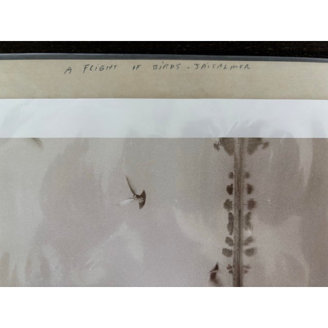 Waswo X. Waswo Signed Sepia Toned Silver Gelatin Photograph “A Flight of Birds Jaisalmer” For Sale - Image 9 of 11