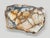 Andrianna Shamaris Beautiful Rare Petrified Wood Coffee Table For Sale - Image 17 of 18