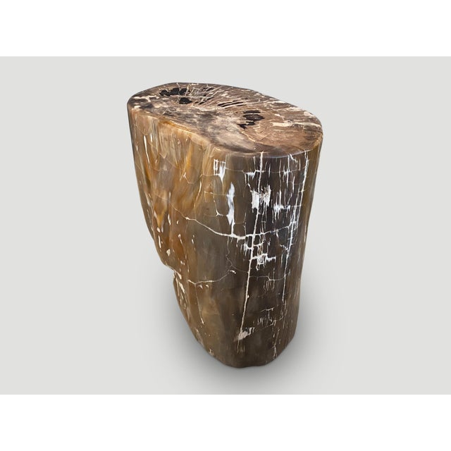 Andrianna Shamaris Ancient Petrified Wood Side Table For Sale - Image 4 of 6