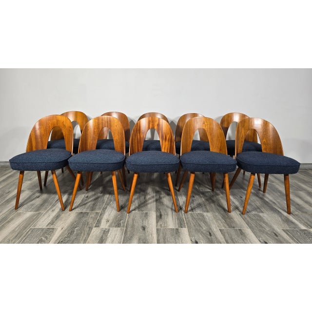 Textile Dining Chairs by Antonin Suman, 1960s, Set of 10 For Sale - Image 7 of 10