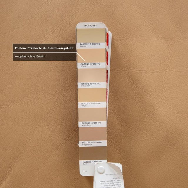 AK 644 2-Seater Sofa in Leather from Rolf Benz For Sale - Image 10 of 14