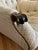 The Leopold Upholstered Accent Arm Chair and Ottoman are a timeless blend of craftsmanship and comfort, inspired by co-...
