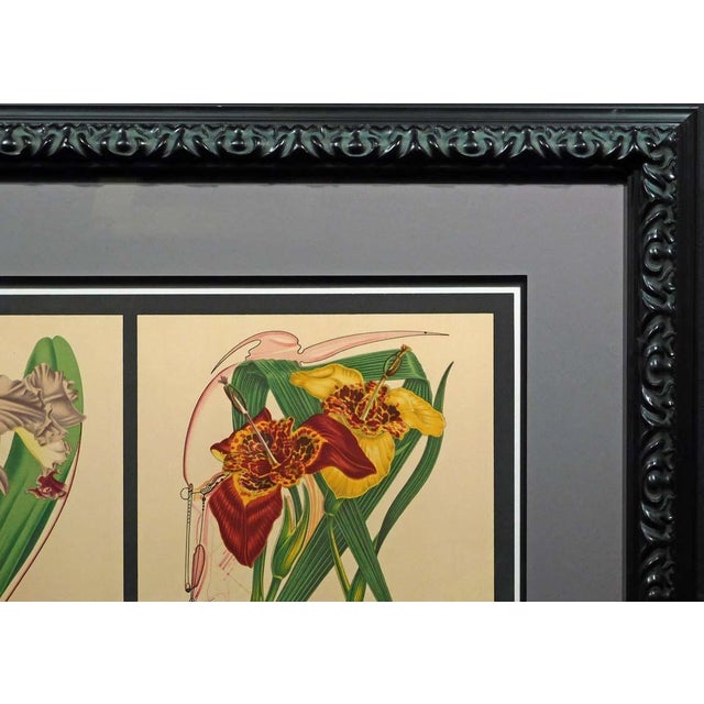 Mikail Chemiakin "Untitled"flowers Hand Signed Lithograph on Paper Custom Framed For Sale In Denver - Image 6 of 7