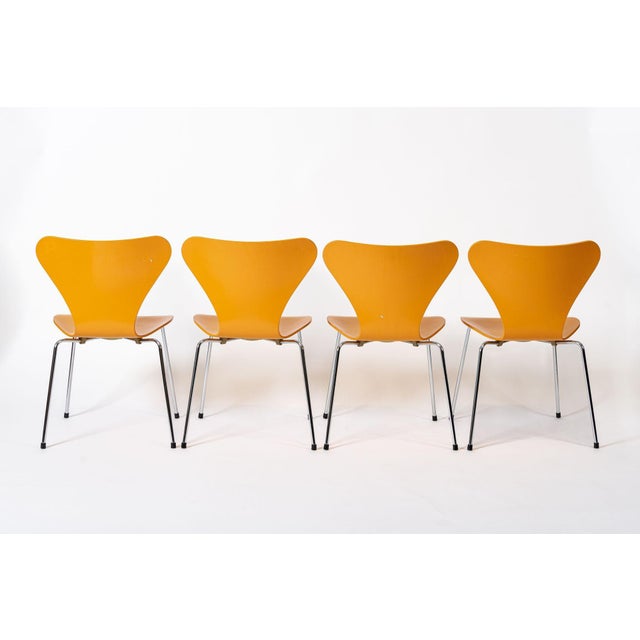 Mid-Century Modern Danish Modern Dining Chairs Series 7 by Arne Jacobsen for Fritz Hansen For Sale - Image 3 of 11