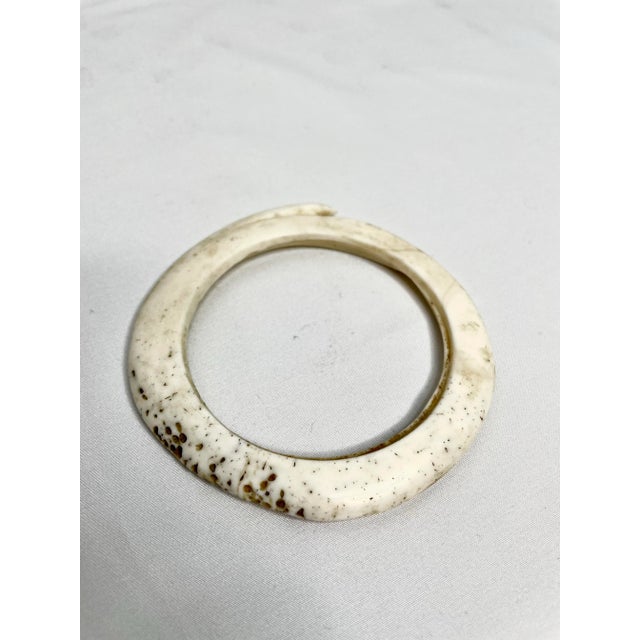 Antique Mounted New Guinea Abelam Currency Shell Rings- a Set of 3 For Sale - Image 10 of 12