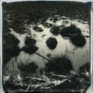 Ugne Pouwell, Baltic Wetlands, 2025, Polaroid Landscape Photography, Limited Edition 10