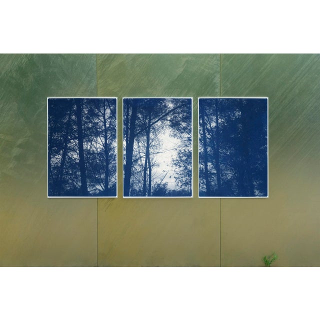 Art Deco 2021 "Forest Silhouette Sunset" Forest Landscape Cyanotype Triptych Print on Watercolor Paper - Set of 3 For Sale - Image 3 of 8