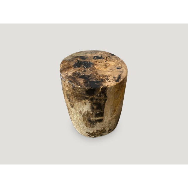 Contemporary Andrianna Shamaris Impressive Tiger Toned High Quality Petrified Wood Side Table For Sale - Image 3 of 5