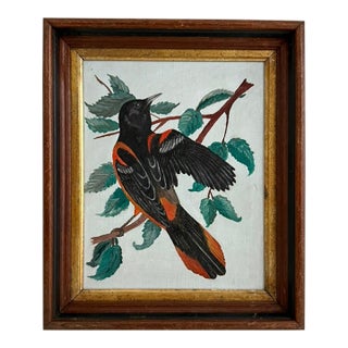 Mid 20th Century Audubon-Style Baltimore Oriole Painting For Sale
