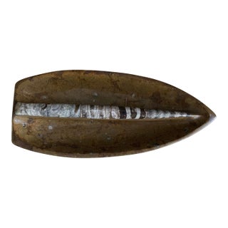 Large Mid Century Limestone and Orthoceras Fossil Dish For Sale
