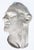 Realism 19th Century Bust of Demosthenes 4th Century Bc Greek Orator For Sale - Image 3 of 5