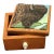 Ooak, Carved,Wood, Buffalo Box/Skull Turquoise For Sale