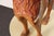 American Folk Art Hand-Carved and Painted Solid Pine Stationary Standing Lion For Sale - Image 17 of 18