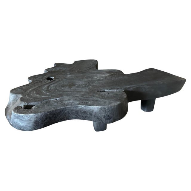 Andrianna Shamaris Amorphous Charred Suar Wood Coffee Table For Sale - Image 15 of 18