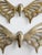 Mid-Century Brass Butterfly Wall Hangings Pair For Sale - Image 10 of 12