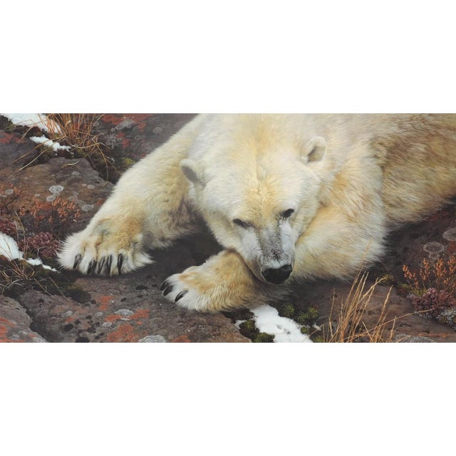A pencil signed and numbered limited edition print of Carl Brenders' "Top of the World - Polar Bear," released by Mill...