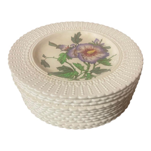 Set of 12 Antique Cauldon Ltd. England Botanical Porcelain Plates, Circa 1905–1920 For Sale