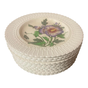 Set of 12 Antique Cauldon Ltd. England Botanical Porcelain Plates, Circa 1905–1920