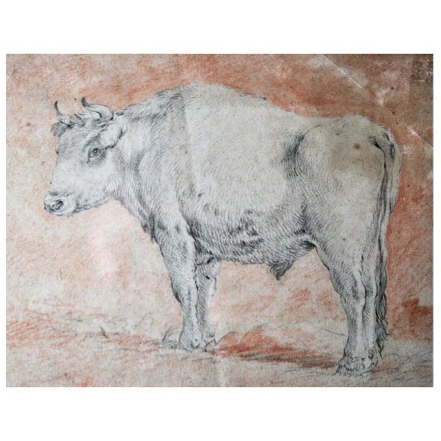 Circle of Paulus Potter, Bull, 1650, Drypoint and Red Chalk For Sale