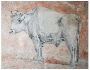 Circle of Paulus Potter, Bull, 1650, Drypoint and Red Chalk