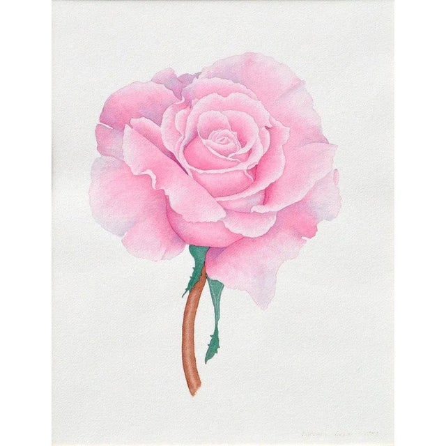 Late 20th Century Vintage Pink Rose by Barbara Gibson For Sale - Image 5 of 6