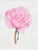 Late 20th Century Vintage Pink Rose by Barbara Gibson For Sale - Image 5 of 6