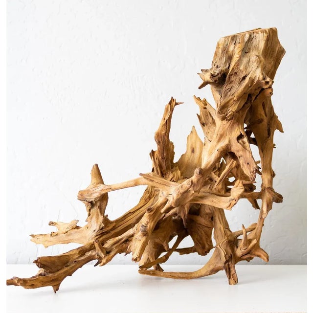 Late 20th Century Organic Driftwood Root Ball Wood Sculpture For Sale - Image 5 of 13