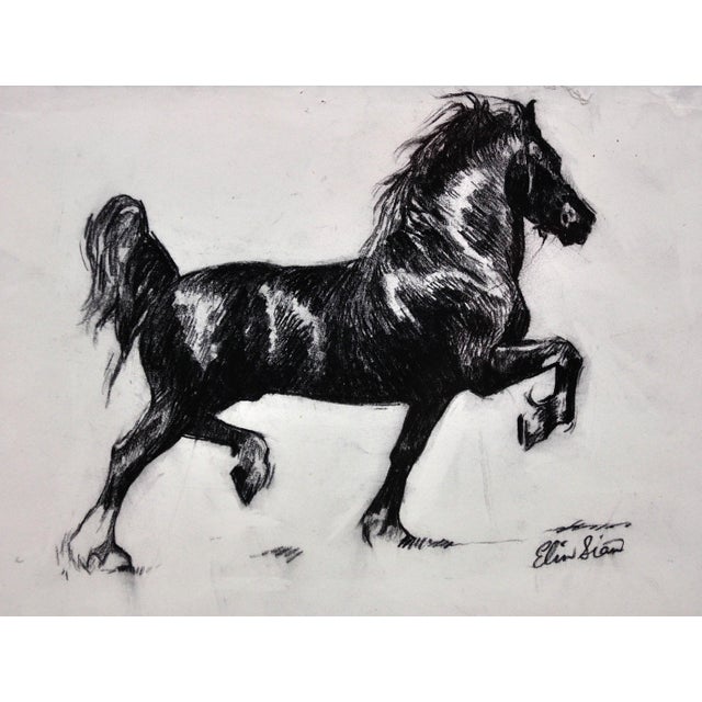 Elin Siân Blake. Welsh ( b.1981). Black Welsh Cob. Charcoal On Paper. Signed Lower Right. Image size 7.7 inches x 10.4...