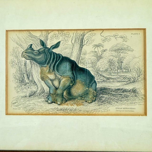 English James Stewart Indian Rhinoceros Hand Colored Copper Engraving, Framed – 1836 For Sale - Image 3 of 11